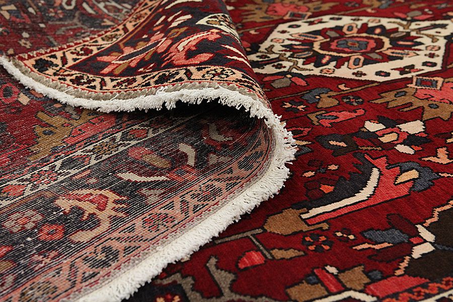 Bakhtiari Persian Carpet 308x207 - Picture 4