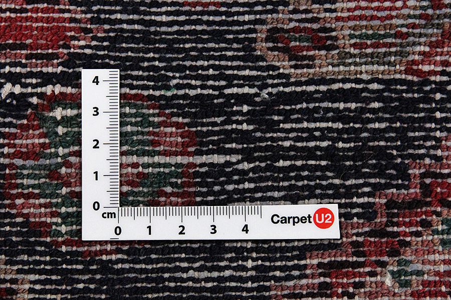 Enjelas - Hamadan Persian Carpet 293x123 - Picture 3