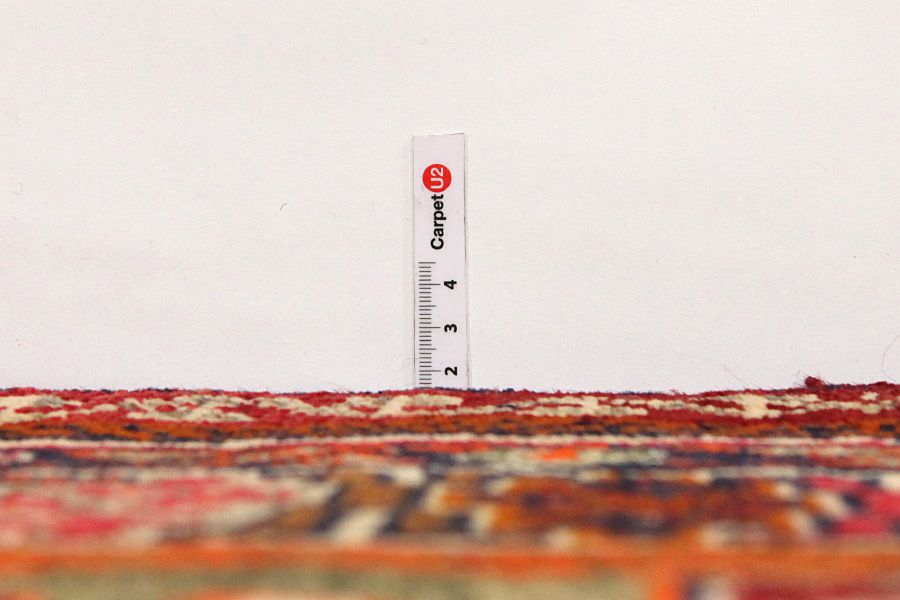 Tuyserkan - Hamadan Persian Carpet 255x150 - Picture 7