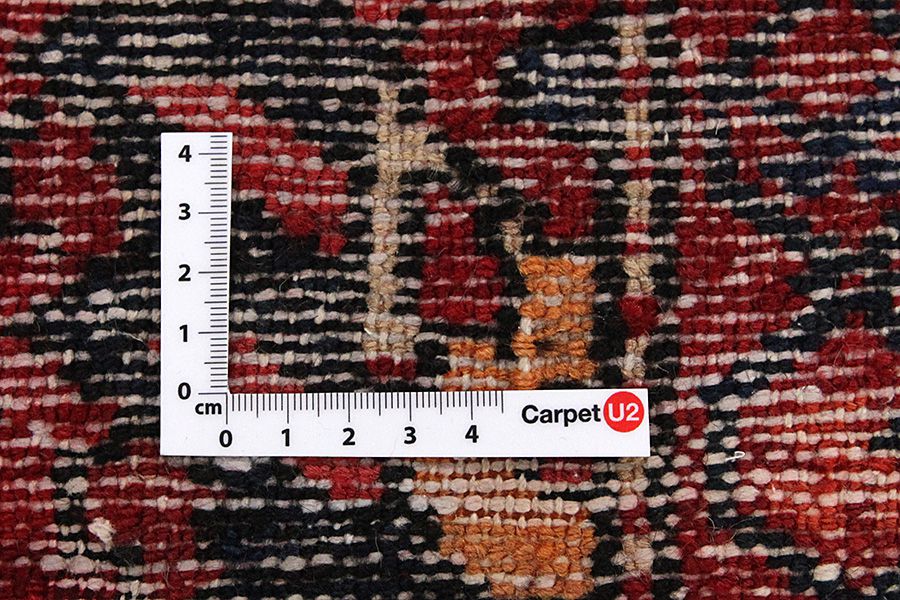 Borchalou - Hamadan Persian Carpet 300x205 - Picture 3