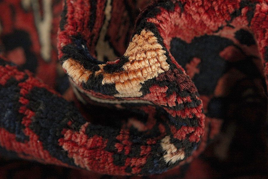 Borchalou - Hamadan Persian Carpet 300x205 - Picture 6