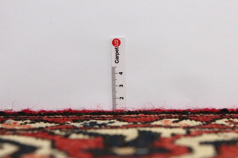Borchalou - Hamadan Persian Carpet 300x205 - Picture 7