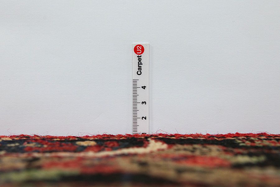 Koliai - Kurdi Persian Carpet 295x152 - Picture 7