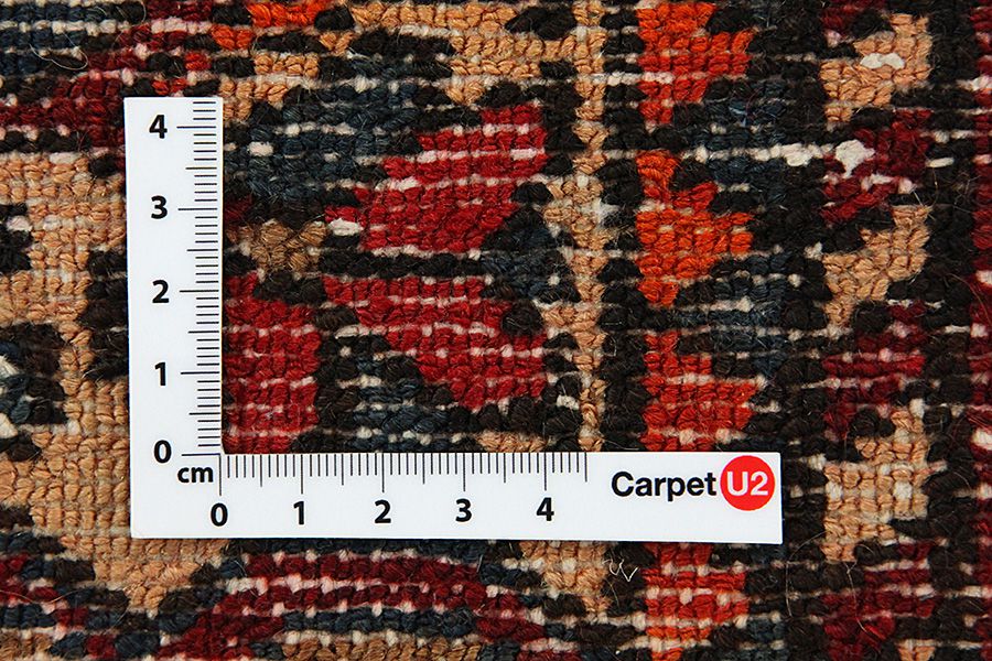 Bakhtiari Persian Carpet 300x205 - Picture 3