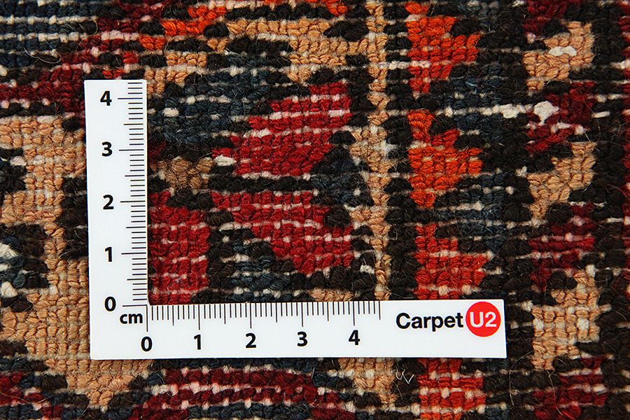 Bakhtiari Persian Carpet 300x205 - Picture 6