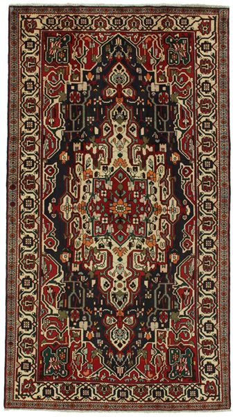 Nahavand - Hamadan Persian Carpet 293x163