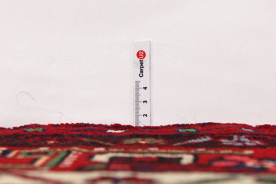 Bijar - Kurdi Persian Carpet 287x167 - Picture 7