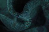 Vintage Persian Carpet 365x233 - Picture 7