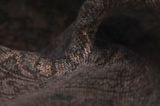 Vintage Persian Carpet 295x200 - Picture 7