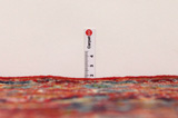 Kashan Persian Carpet 382x294 - Picture 8