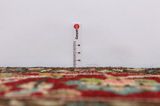 Bijar - Kurdi Persian Carpet 300x153 - Picture 8